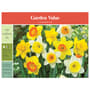 Thumbnail Image for 668327-1