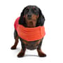 Thumbnail Image for 9969971-5