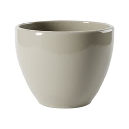 Image for 977743