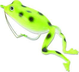 Image for 848890