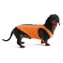 Thumbnail Image for 9969907-4