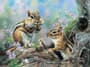 Thumbnail Image for 854159-38