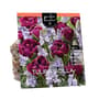 Thumbnail Image for 972876-1