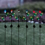 Thumbnail Image for 906817-2