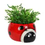 Thumbnail Image for 931054-1