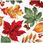 Thumbnail Image for 966294-1