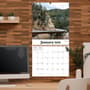 Thumbnail Image for 973963-3