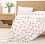 Thumbnail Image for 9972546-1