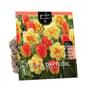 Thumbnail Image for 972871-1
