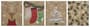 Thumbnail Image for 950349-2