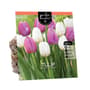 Thumbnail Image for 972887-1