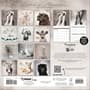 Thumbnail Image for 973979-4