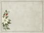 Thumbnail Image for 992362-2