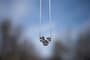 Thumbnail Image for 993988-3