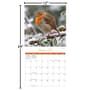 Thumbnail Image for 973973-2