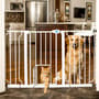 Thumbnail Image for 913992-2
