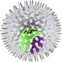 Thumbnail Image for 997909-2