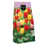 Thumbnail Image for 799529-1