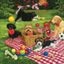 Thumbnail Image for 854159-7