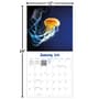 Thumbnail Image for 973968-2