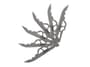 Thumbnail Image for 967343-2