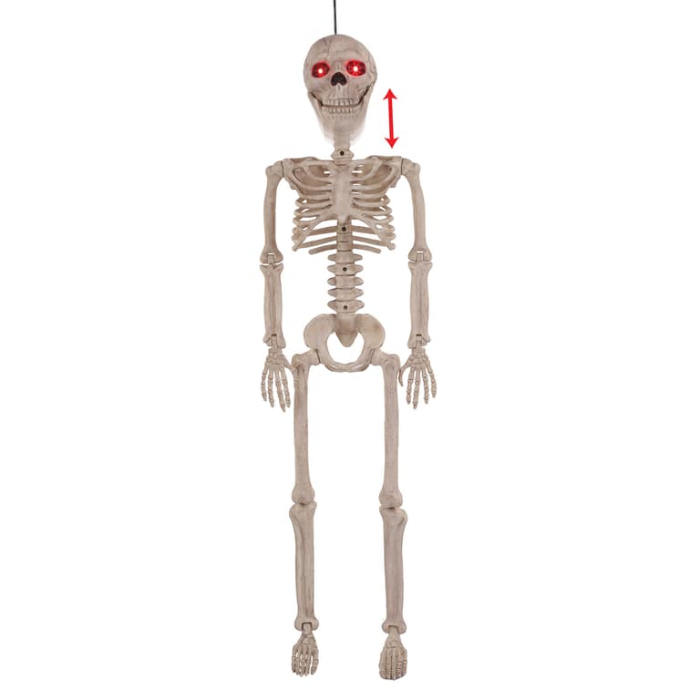 Image for 987691