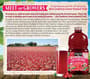 Thumbnail Image for 289085-2
