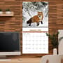 Thumbnail Image for 973974-3