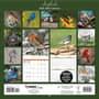 Thumbnail Image for 973973-4