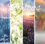 Thumbnail Image for 973971-1