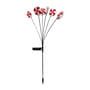 Thumbnail Image for 989872-1