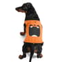 Thumbnail Image for 9969907-1