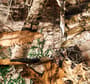 Thumbnail Image for 990283-7