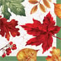 Thumbnail Image for 966293-1