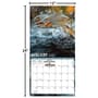 Thumbnail Image for 973967-2