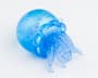 Thumbnail Image for 999753-1