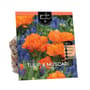 Thumbnail Image for 972878-1