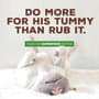 Thumbnail Image for 904616-3