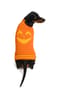 Thumbnail Image for 9969899-1