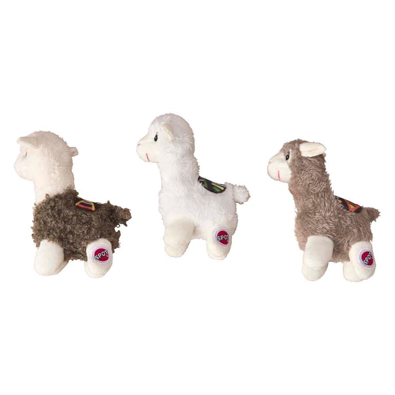 Image for 100726
