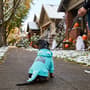 Thumbnail Image for 9988054-6