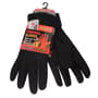 Thumbnail Image for 9849841-1