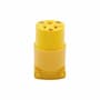 Thumbnail Image for 256377-1
