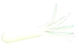 Image for 825184