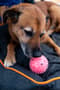 Thumbnail Image for 974821-3