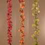 Thumbnail Image for 989397-1