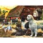 Thumbnail Image for 854158-6