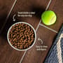 Thumbnail Image for 848905-7