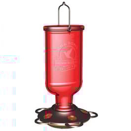 Image for 688166