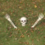 Thumbnail Image for 987692-1